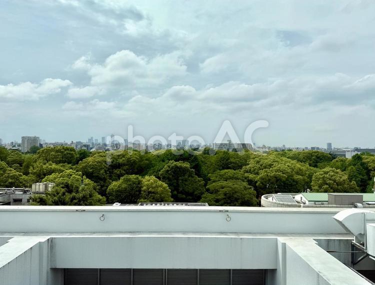 高台からの上野の街並み　曇り空 上野,東京,曇り空の写真素材