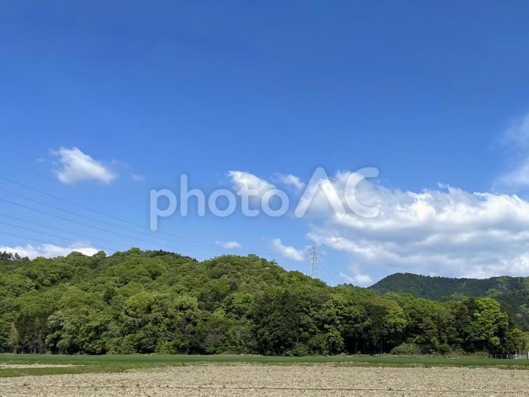 田んぼの中から森を眺める 春,空,自然の写真素材