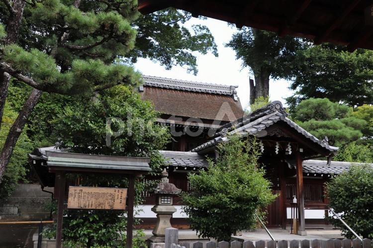 花園今宮神社　本殿 今宮神社,花園,本殿の写真素材