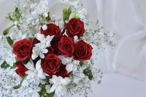 赤いバラのブーケ　白背景 バラ,赤,花束の写真素材