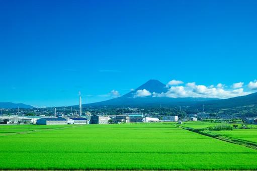新幹線の車窓から水田越しに見た夏の富士山 新幹線の車窓から水田越しに見た夏の富士山の写真