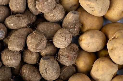 いも_テクスチャ さといも,じゃがいも,芋の写真素材