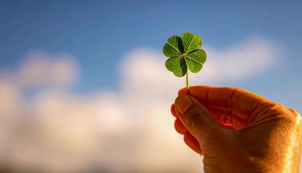 四つ葉のクローバーを片手でとる女性の手の写真