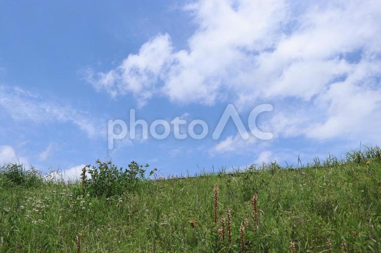 土手と青い空1（4月撮影） 土手,空,緑の写真素材