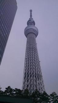 建物(塔) 建物(塔)の写真