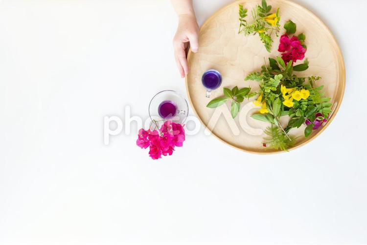 花がたくさんのお盆を持っている人の手元 手元,人物,お茶の写真素材