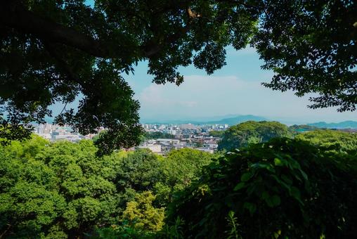 【和歌山】和歌山城 2025 【和歌山】和歌山城 2025の写真