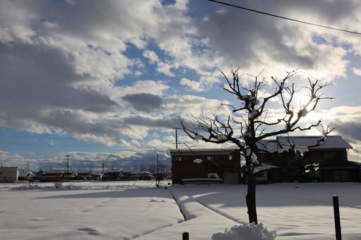 Beautiful snowy rice fields in winter, JPG