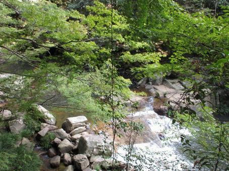 岡山県-豪渓-渓流 岡山県-豪渓-渓流 豪渓,渓谷,渓流の写真素材