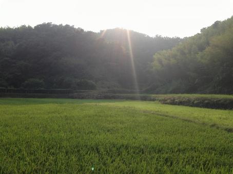 田舎 田舎の写真