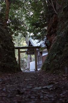 神社 神社の写真