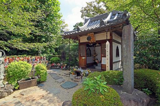 増上寺（港） 増上寺,浄土宗大本山,阿弥陀如来の写真素材