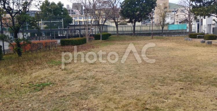 　博多区　馬出 公園,敷地,町中の写真素材