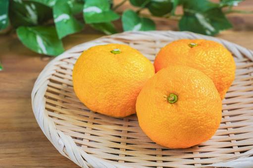 ゆず 柚子,冬至,柚子湯の写真素材