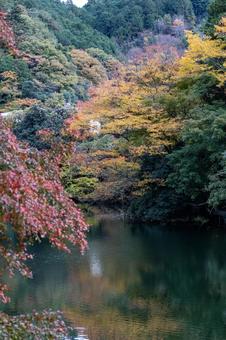 湖と色づく秋の風景 湖と色づく秋の風景の写真