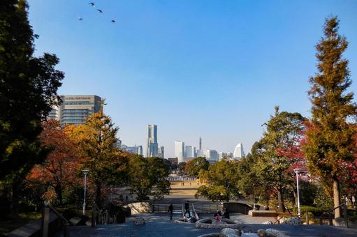 みなとみらい 山下公園,みなとみらい,秋の写真素材