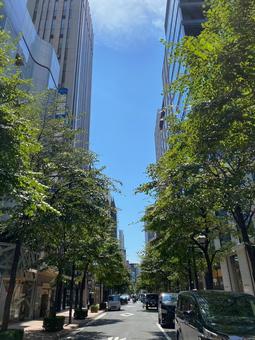 銀座の街並み 銀座の街並み 街並み,ビル,緑の写真素材