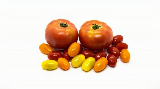 사진, 토마토, 생 토마토, 화려한 토마토, 
