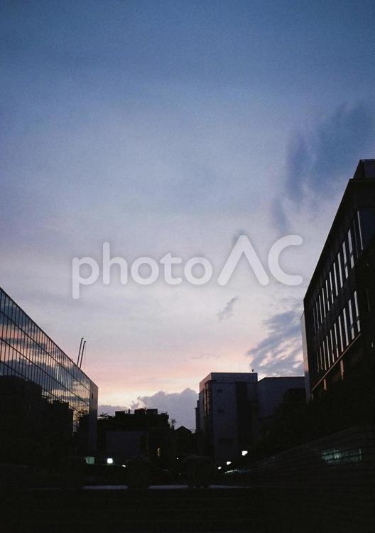 たそがれ フィルムカメラ,フィルム写真,風景の写真素材
