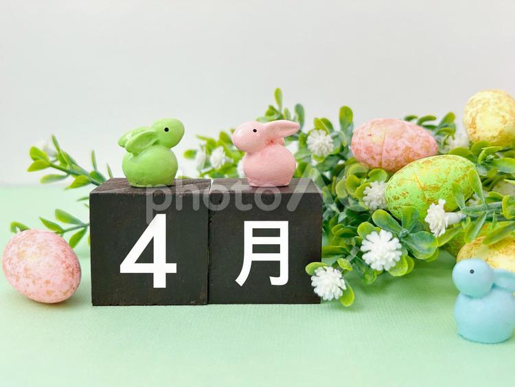 4月のディスプレイ　 4月,４月,月の写真素材