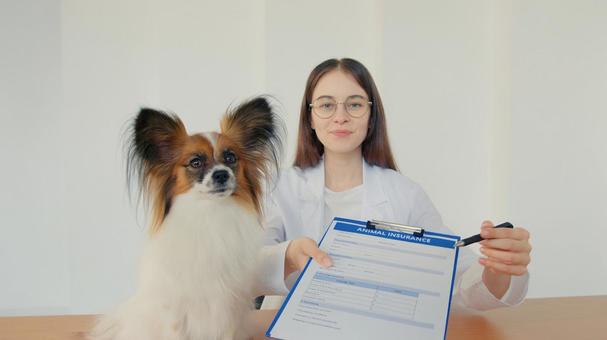 パピヨンと女性スタッフ 医療,予防,医者の写真素材