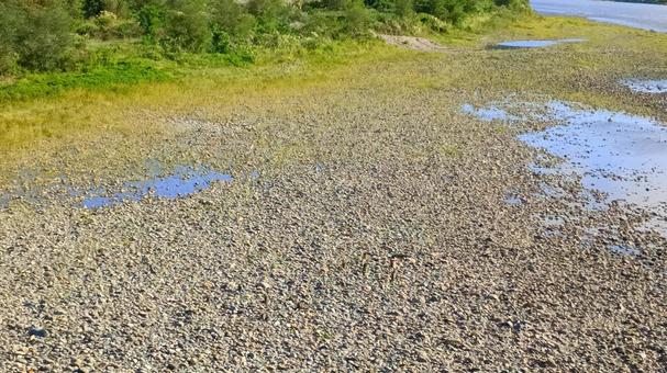橋からみた信濃川の河川敷風景 橋からみた信濃川の河川敷風景の写真