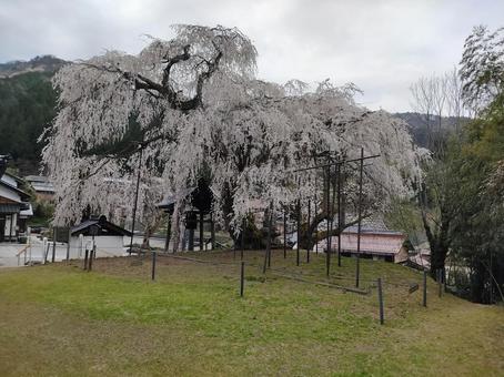 岩美町、新温泉町 岩美町、新温泉町の写真