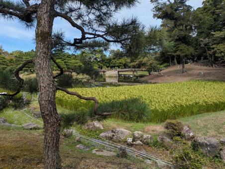 玄宮園 玄宮園の写真