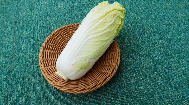 白菜 白菜の写真