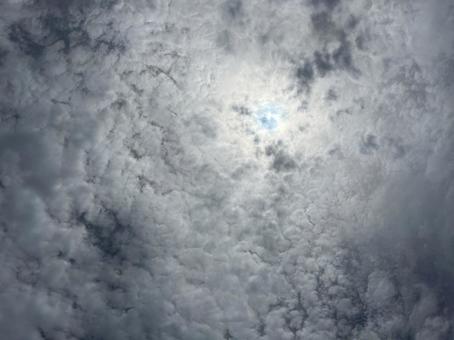 見上げた空 見上げた空の写真