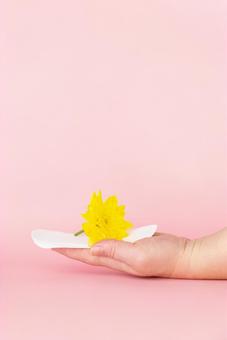 手のひらに生理用ナプキンと花を乗せる 生理,月経,手の写真素材