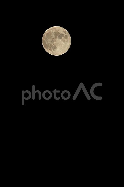 月の写真　縦位置 月,満月,月面の写真素材