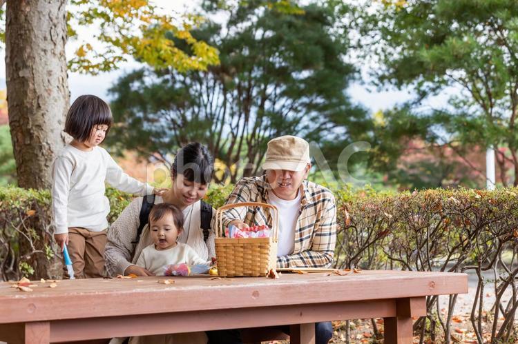 秋の公園で遊ぶ家族・ファミリー ピクニック,家族,子供の写真素材