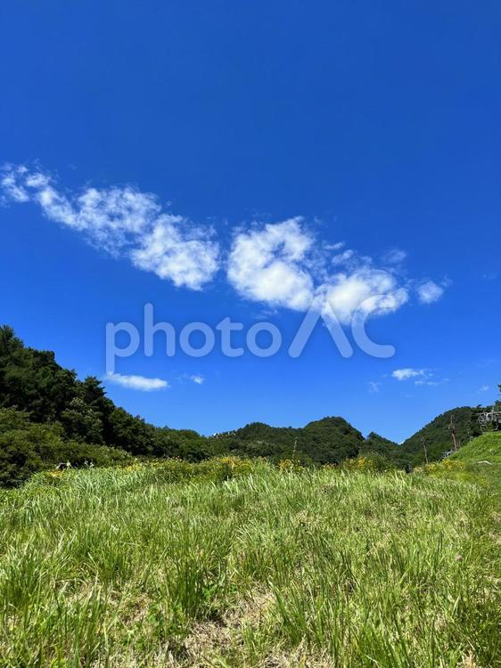 高原から望む夏の青空と自然の風景 高原,風景,夏休みの写真素材