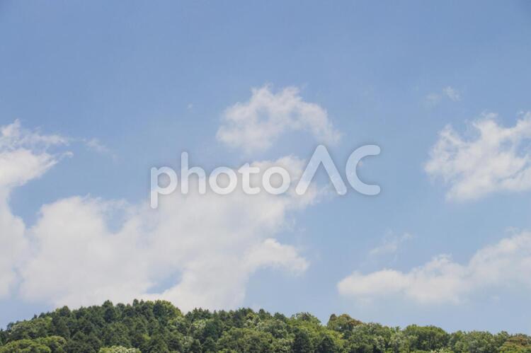 空と森林 森林,空,夏の写真素材