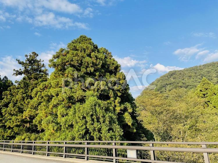 山と道路と青空3 山,風景,道の写真素材