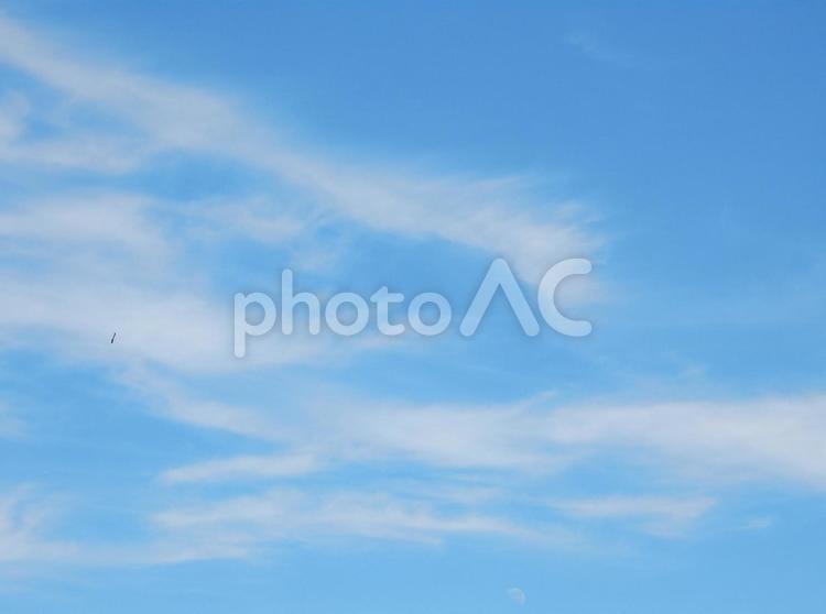 【風景写真】夏空 夏空,空,雲の写真素材