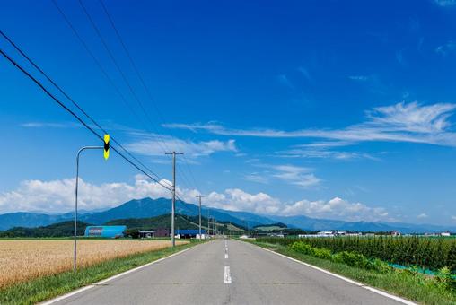 青空と一本道 青空と一本道 青空と一本道,道,直線の写真素材