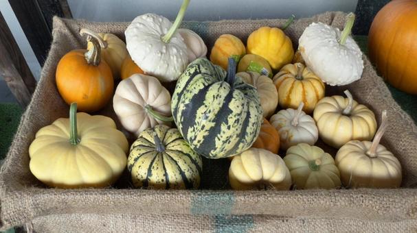 ハロウィンのかぼちゃイメージ素材 ハロウィンのかぼちゃイメージ素材 ハロウィン,ハロウイン,かぼちゃの写真素材