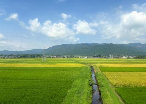 田舎の風景 田舎の風景 自然,空,風景の写真素材