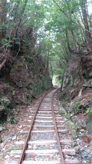 トロッコ道 トロッコ道 鹿児島県,屋久島,線路の写真素材