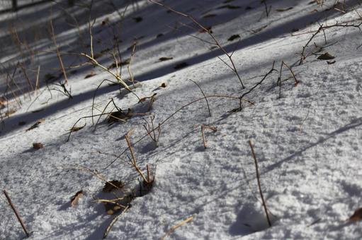 積雪とキラキラ② 積雪とキラキラ②の写真