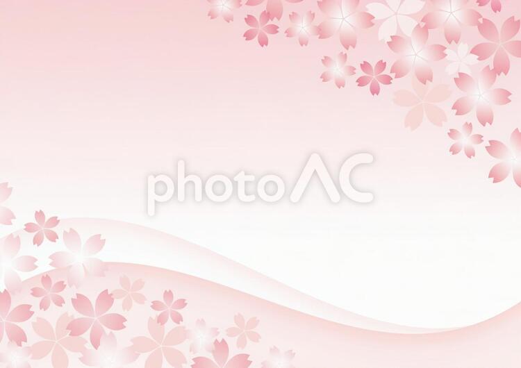桜のイメージ 桜,背景,春の写真素材