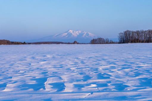 風紋のできた雪原と斜里岳 風紋のできた雪原と斜里岳 斜里岳,雪山,風紋の写真素材