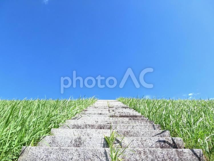 青空と石段 石段,青空,階段の写真素材