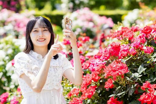 お花畑でスマホを使い笑顔を見せる女性 女性,バラ園,薔薇の写真素材