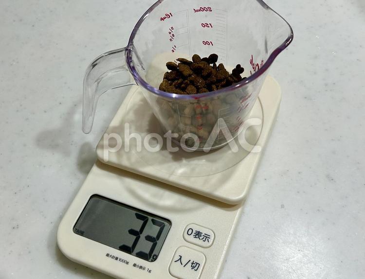 キャットフードの計量 デジタルスケール,ペット,食べ過ぎ注意の写真素材