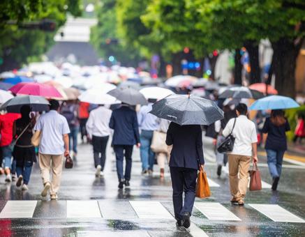 雨に濡れる都会の横断歩道シーン 雨に濡れる都会の横断歩道シーンの写真