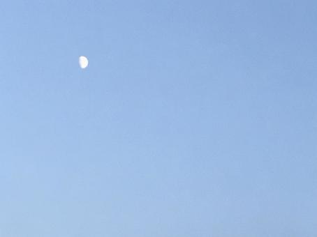 夕方の月 夕方の月の写真