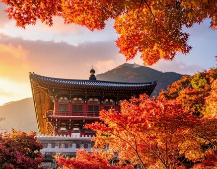 紅葉とお寺 紅葉とお寺の写真